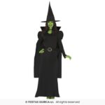 Disfraz de Bruja
